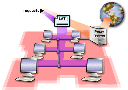 6) Private network requests are sent to the destination within the private network without proxy server intervention